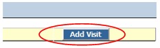 PC Add visit button